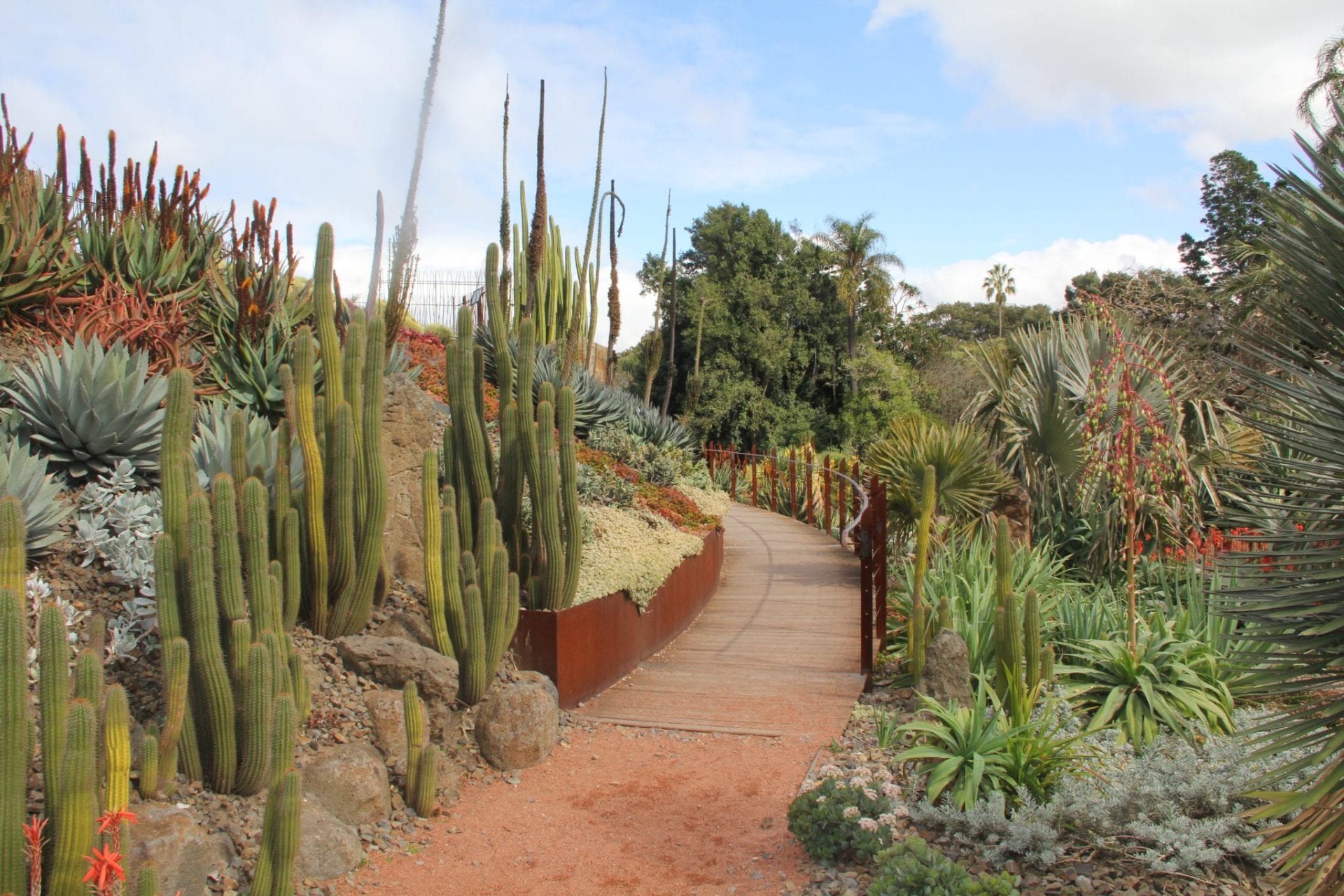 Melbourne Royal Botanical Garden