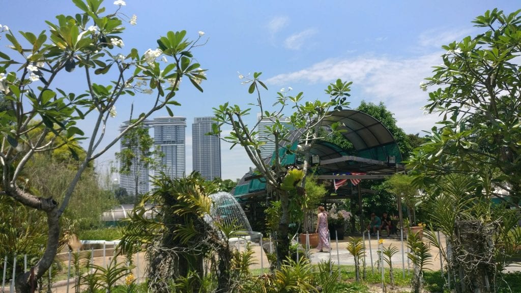 Kuala Lumpur Orchid Garden 2