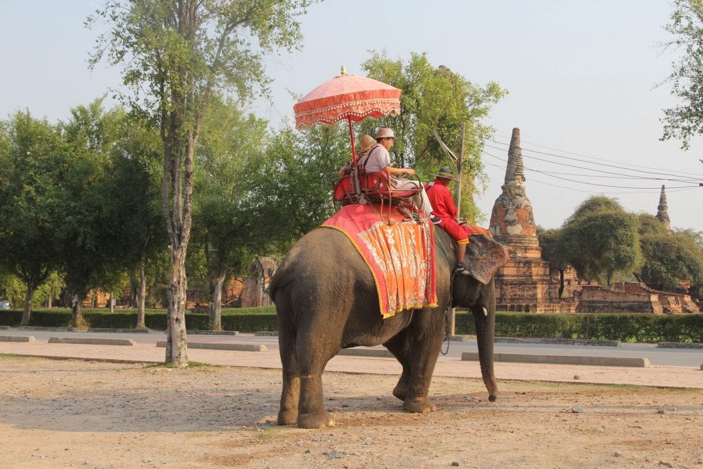 Ayutthaya Elephant