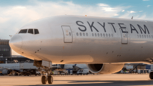 SkyTeam Logo Flugzeug