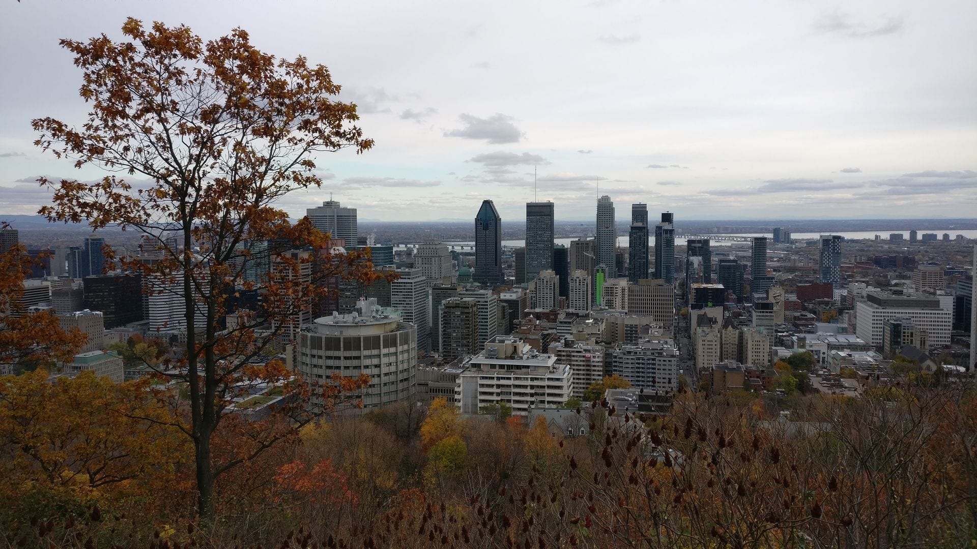 Montreal Mont Royal View
