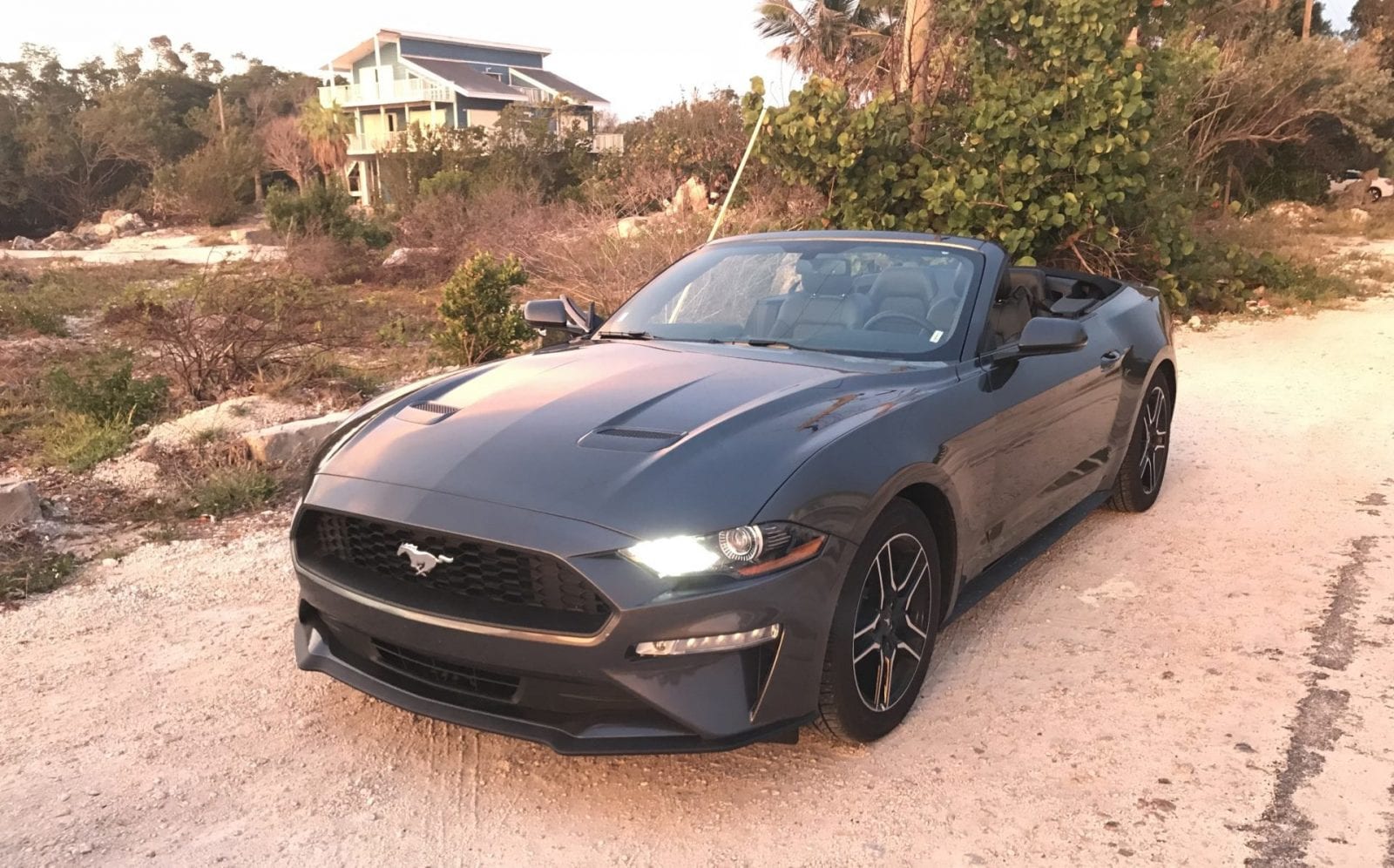 Review Alamo Rent A Car was bietet der Autovermieter? reisetopia