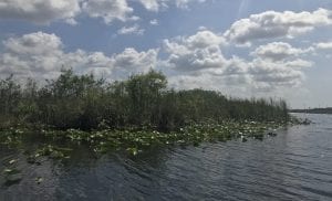 everglades national park