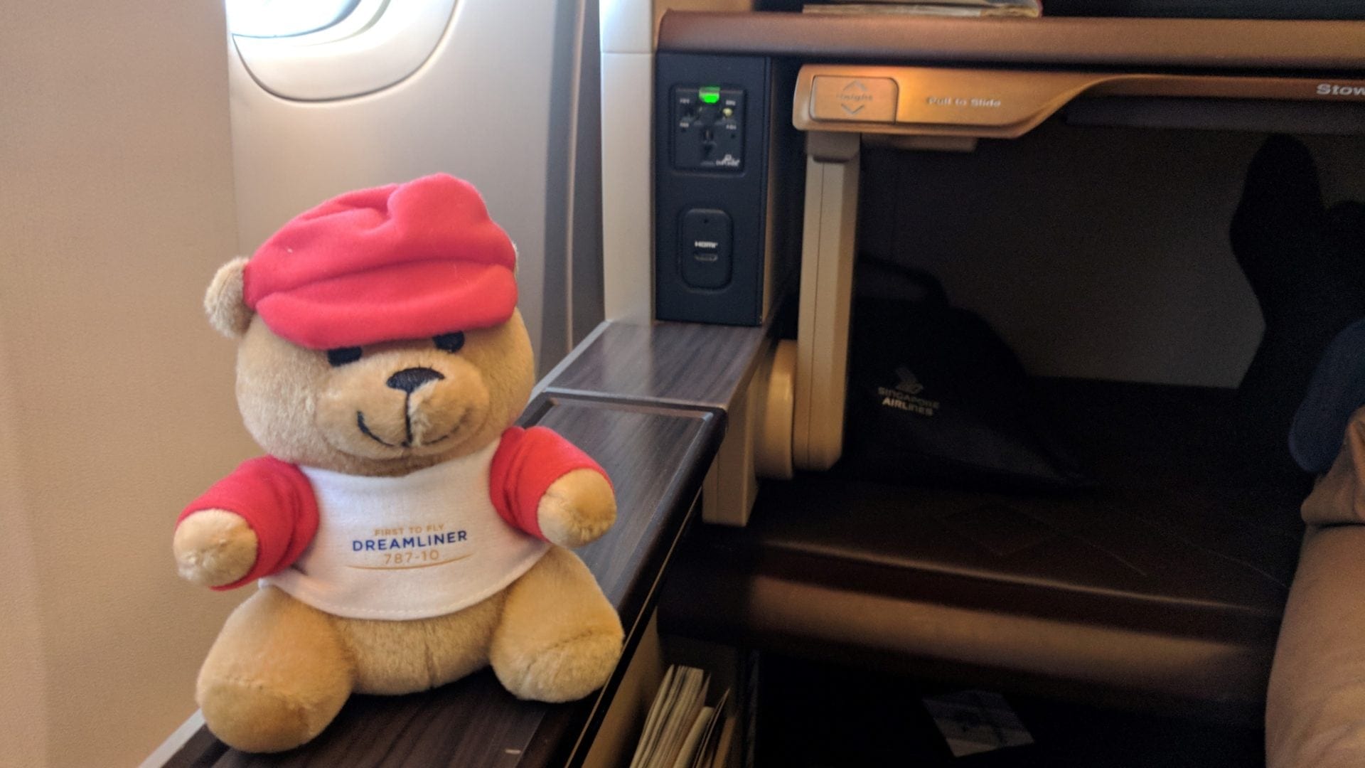 Singapore Airlines First Class Teddy
