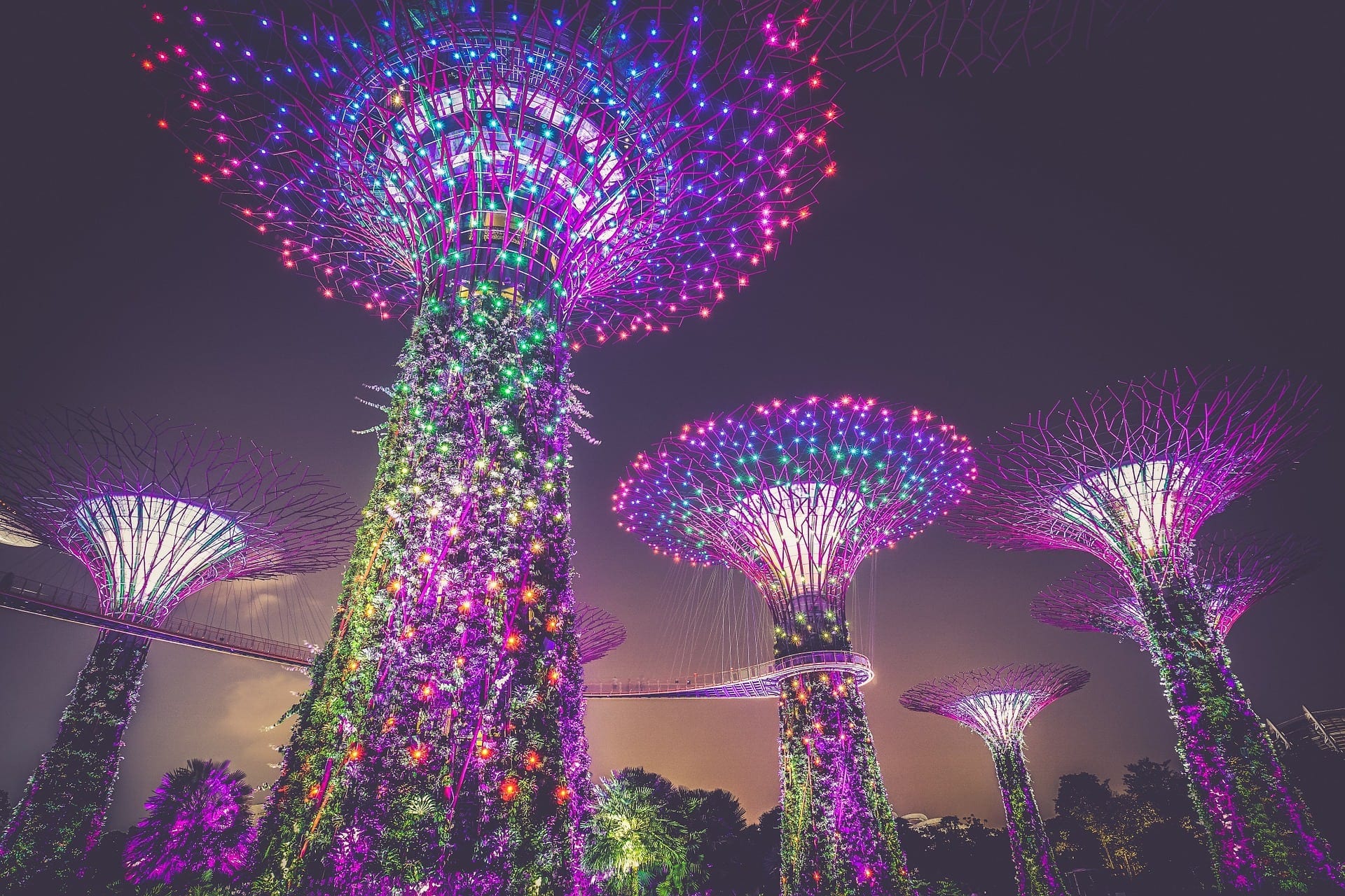 Singapur Garden By The Bay Nacht