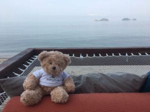 Okura Bangkok Teddy