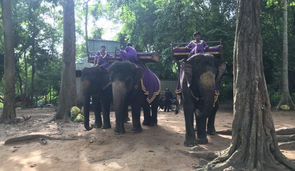 Angkor Thom Elefanten