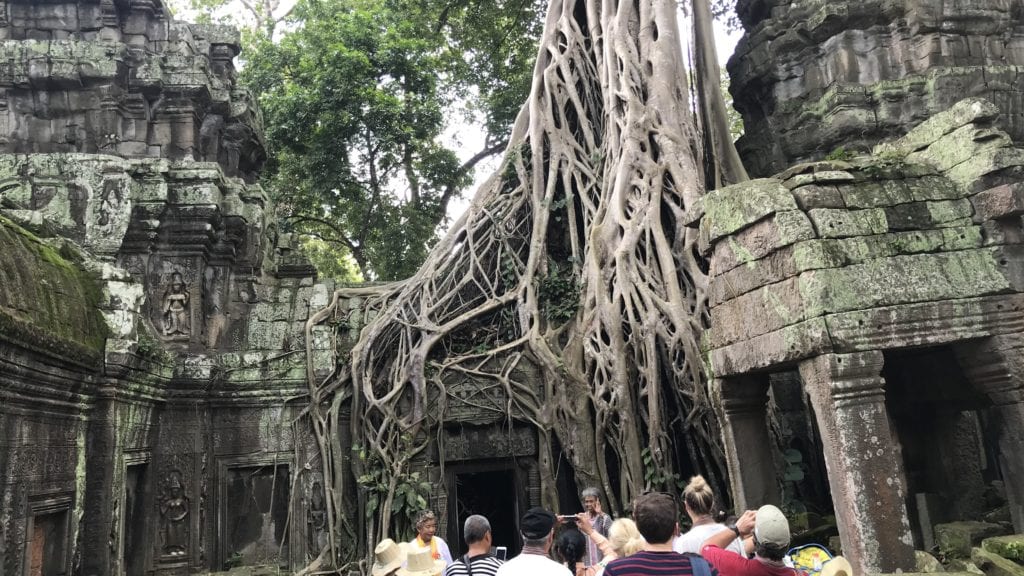 Angkro Wat Ta Prohm Ranken Über Der Tür 2