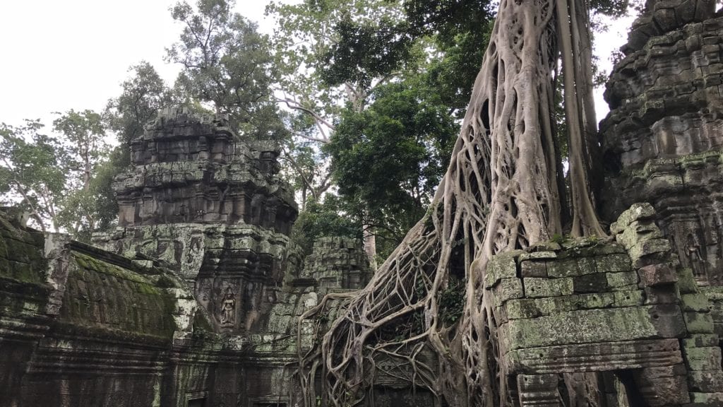 Angkro Wat Ta Prohm Ranken Über Der Tür 3