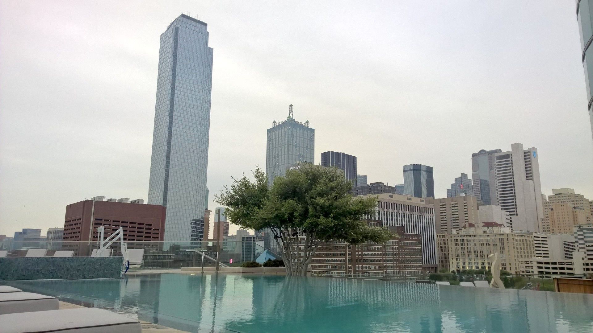 Omni Hotel Dallas Pool