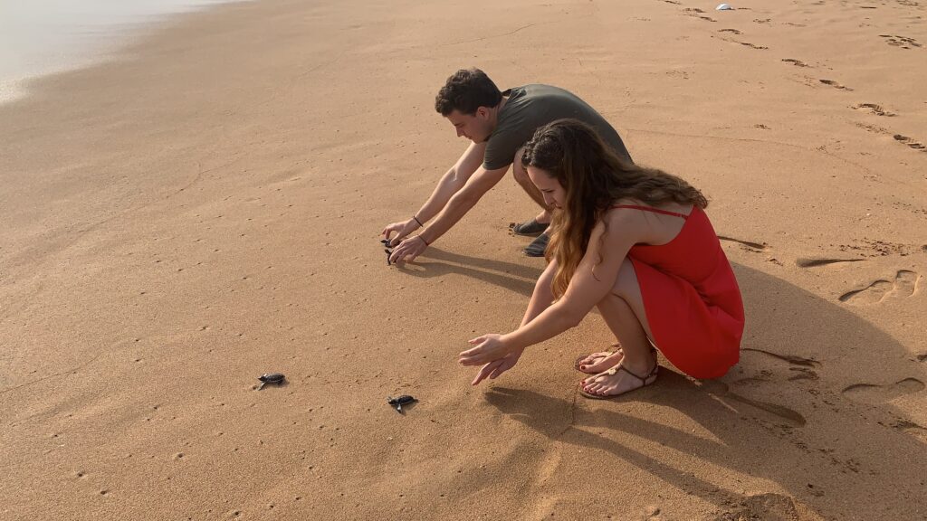 Jan Marieke Sri Lanka Schildkröten