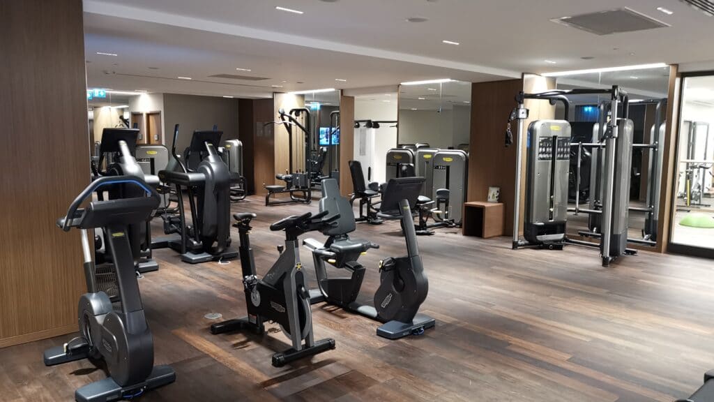 Sheraton Grand Tiflis Gym Geräte