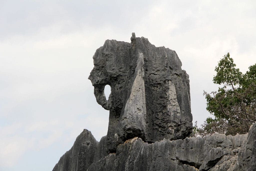 Shilin Stone Forest Kunming 32