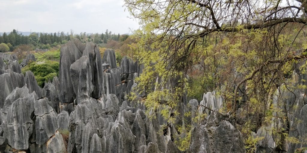Shilin Stone Forest Kunming 7
