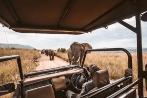 Safari Namibia