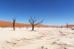 Top 5 Reiseziele Namibia