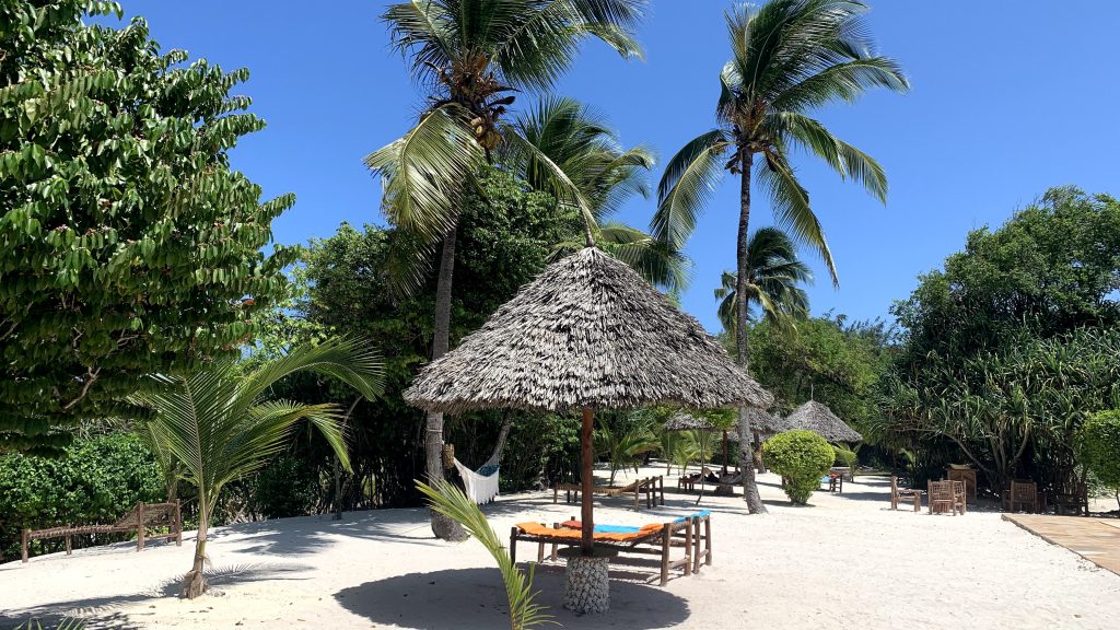 Tikitam Palms Boutique Hotel Zanzibar Pool