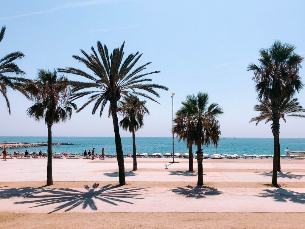 Barcelona Spanien Promenade Palmen