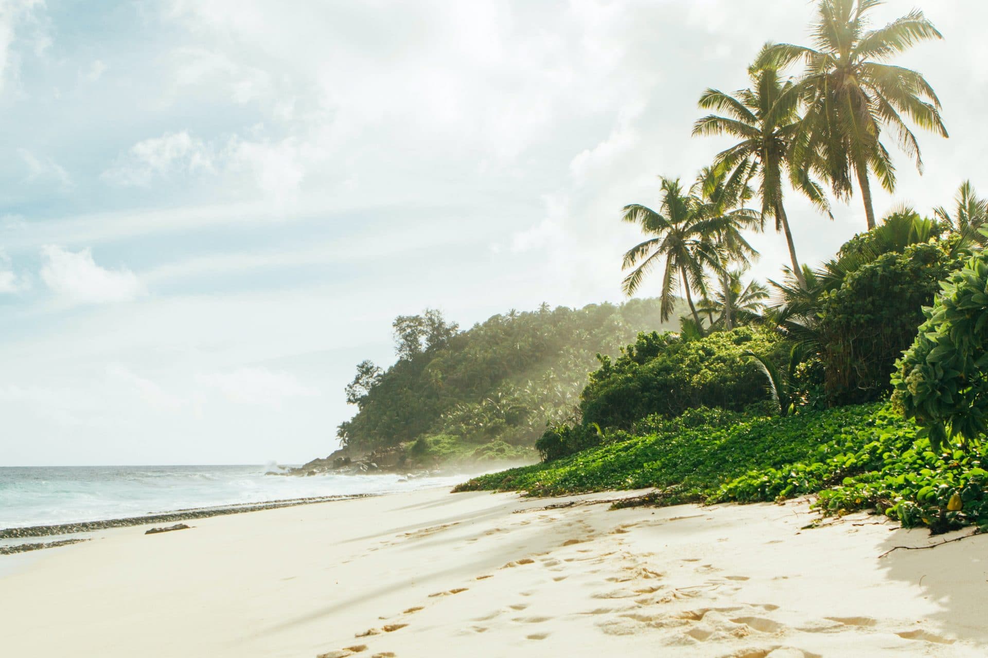 Seychellen Palmen Und Strand