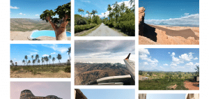 Bildschirmfoto 2021 02 04 Um 12.06.31