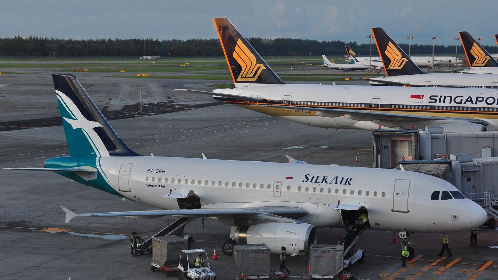 SilkAir Singapore Airlines Cropped