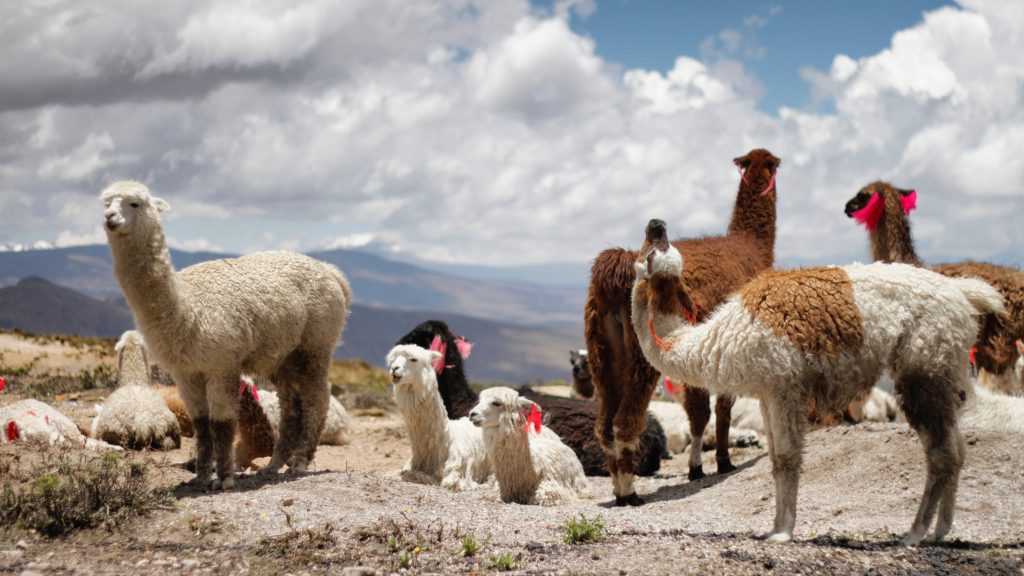 Peru