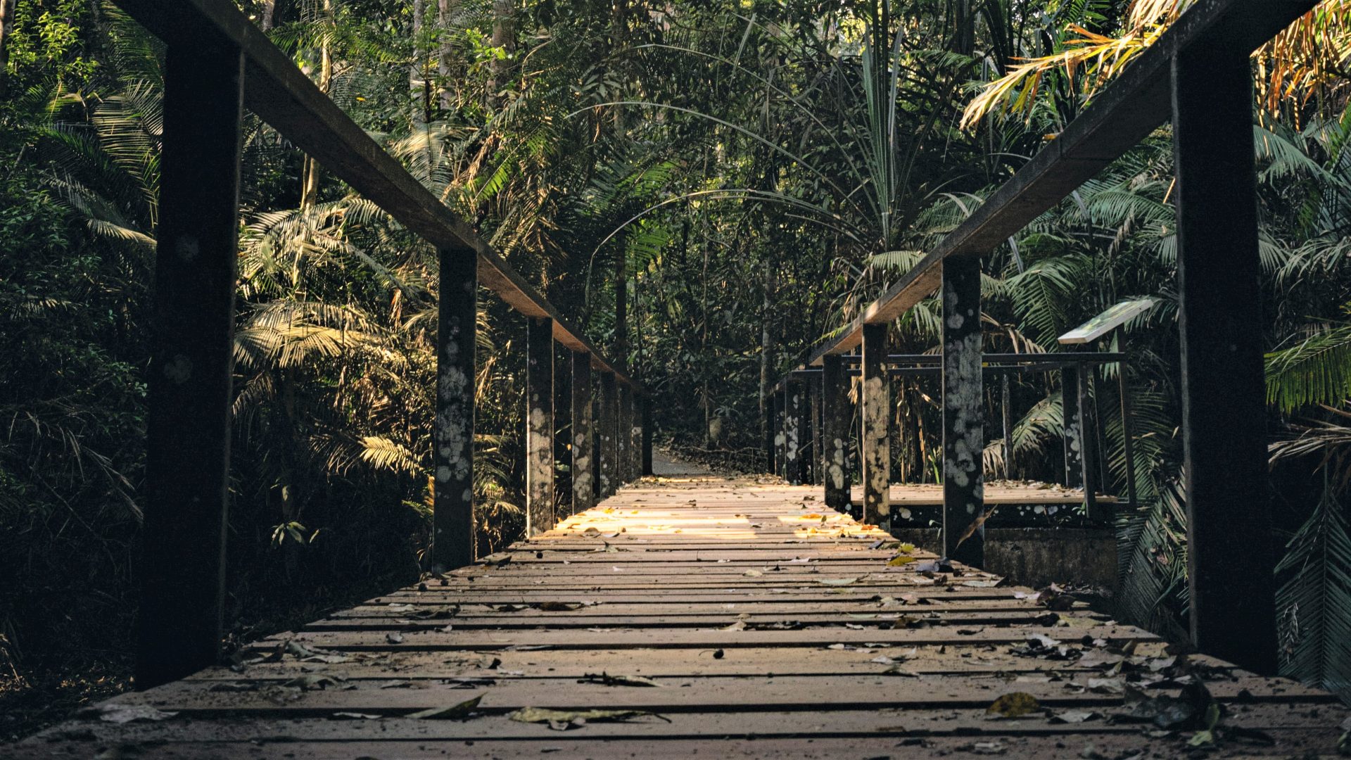 Khao Yai National Park