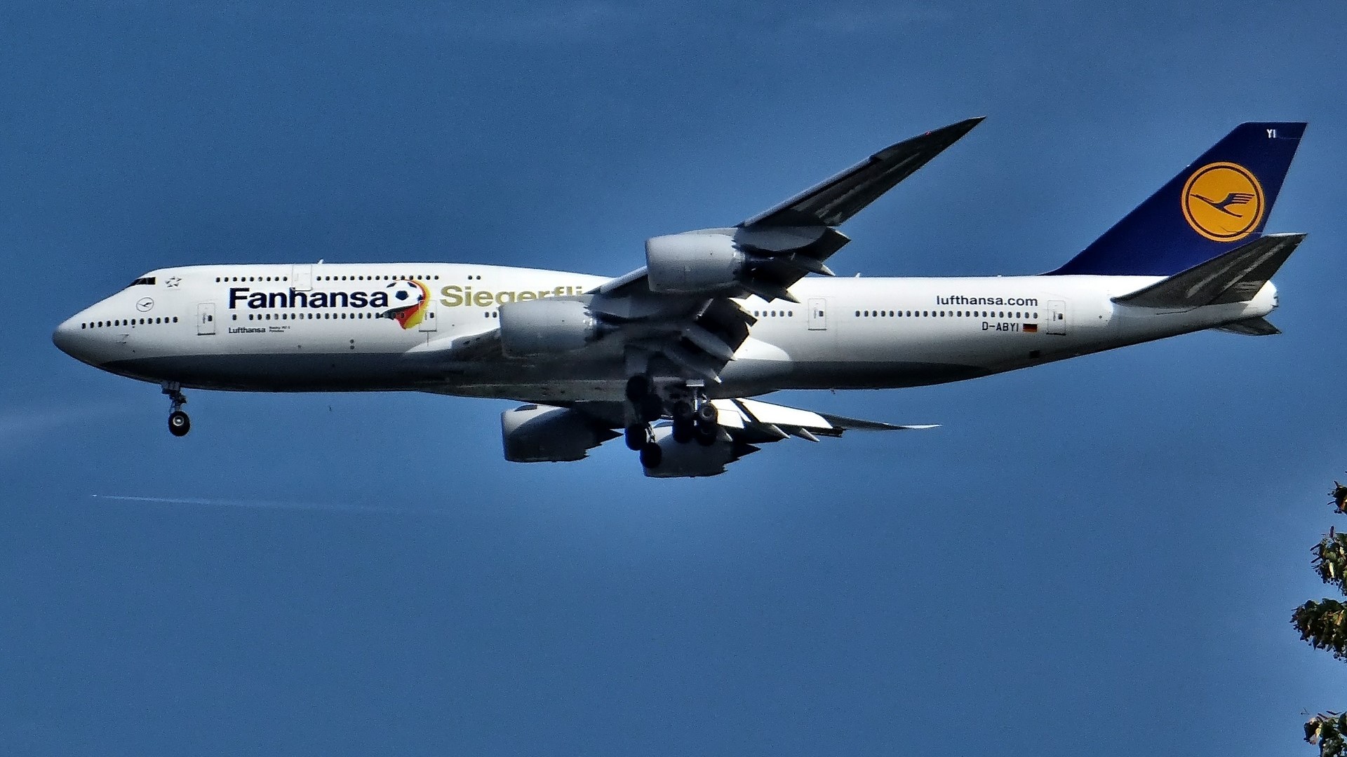 Fanhansa Siegerflieger