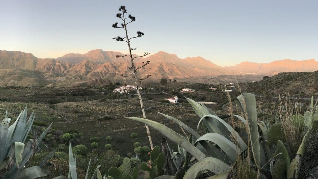 Das erste Ziel meiner Reispläne für 2023: Berge auf Gran Canaria