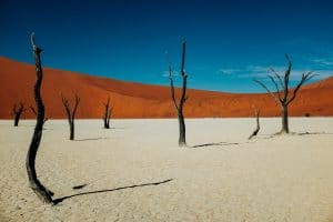 Namibia Death Valley