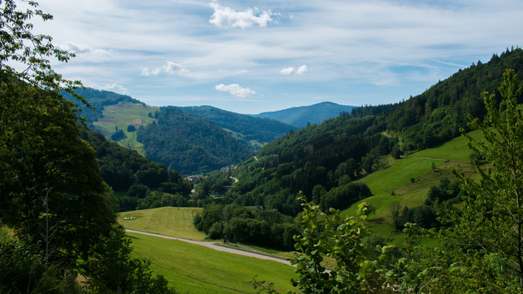 Bewaldete Huegel Im Schwarzwald