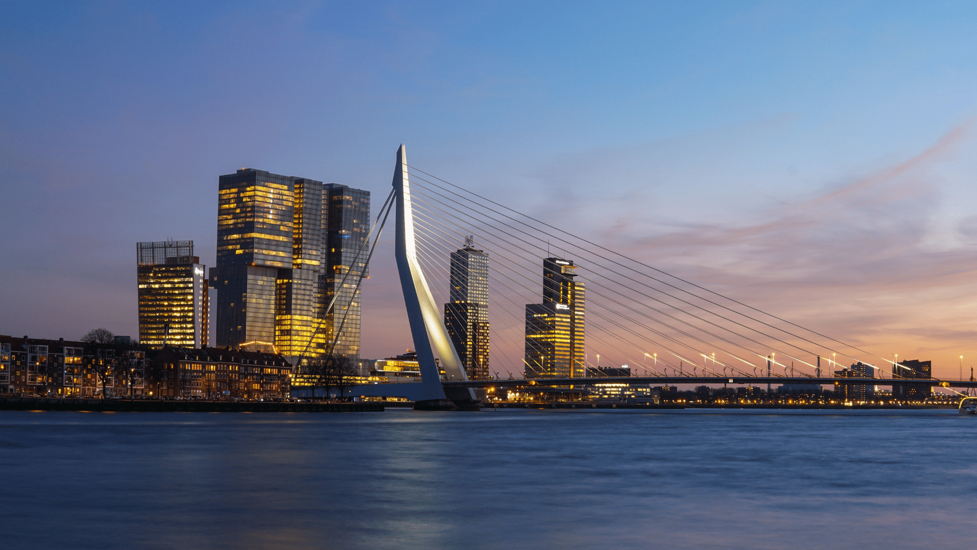 Rotterdam Erasmusbruecke Abends