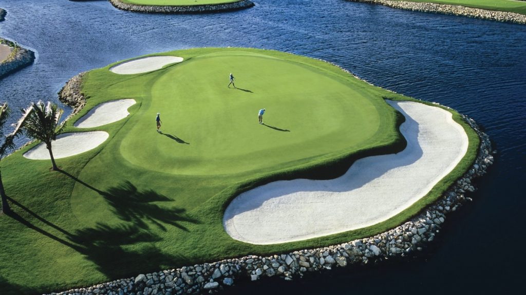 F6923F6C 21E8 4633 9786 6CB4EC9D15FD 1 105 C