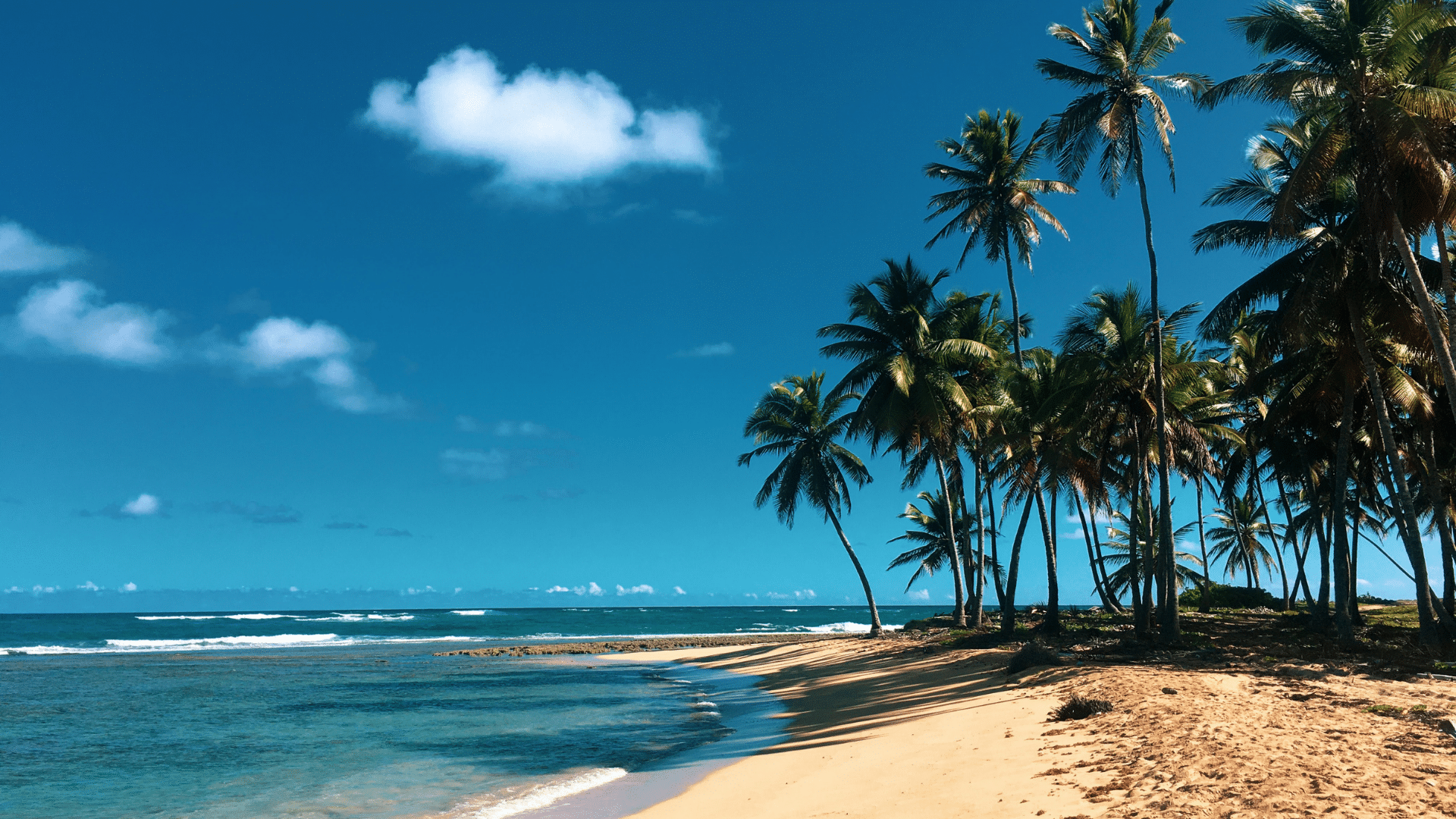 Dominikanische Republik Strand