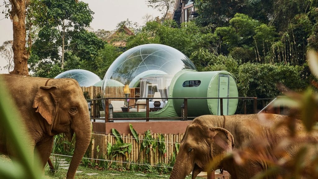 Anantara Golden Triangle Elephant Camp und Resort