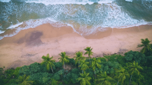 Sri Lanka Strand Bentota