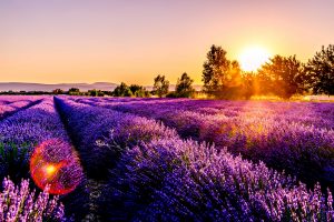 Provence Landschaft, Frankreich