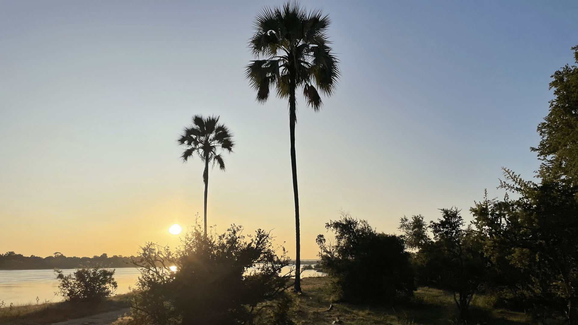 Zambezi Nationalparl Sonnenaufgang