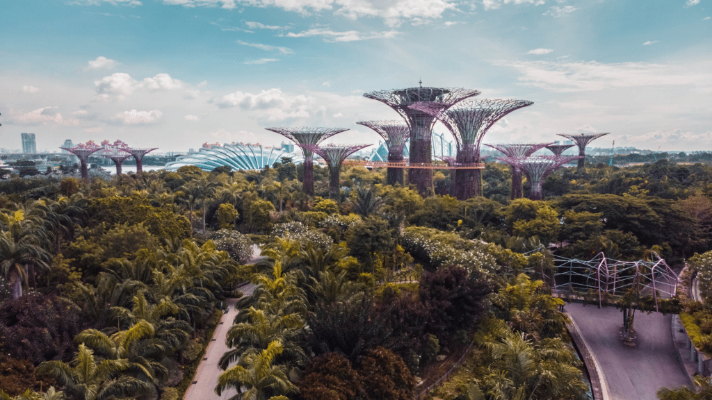 Gardens By The Bay Singapur