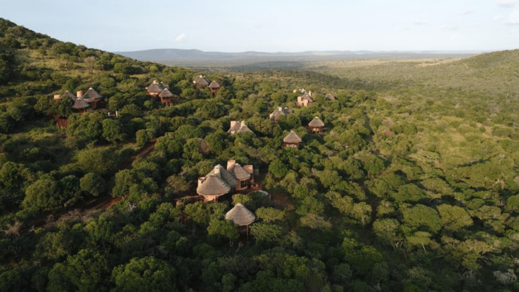 Thanda Safari Lodge (1)