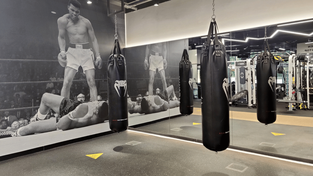 Boxsaecke im Fitnessstudio 