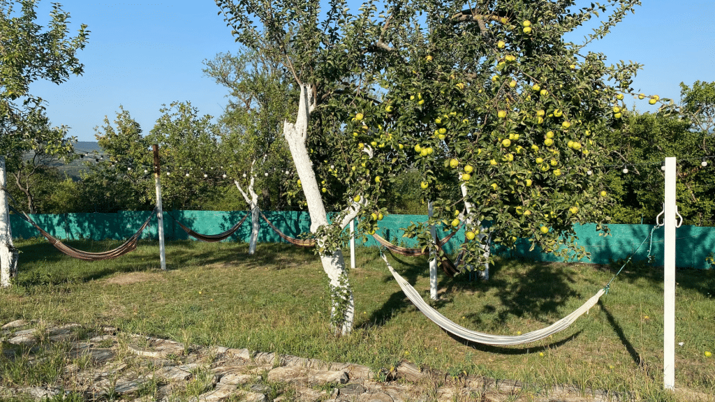 Hängematten Im Garten 