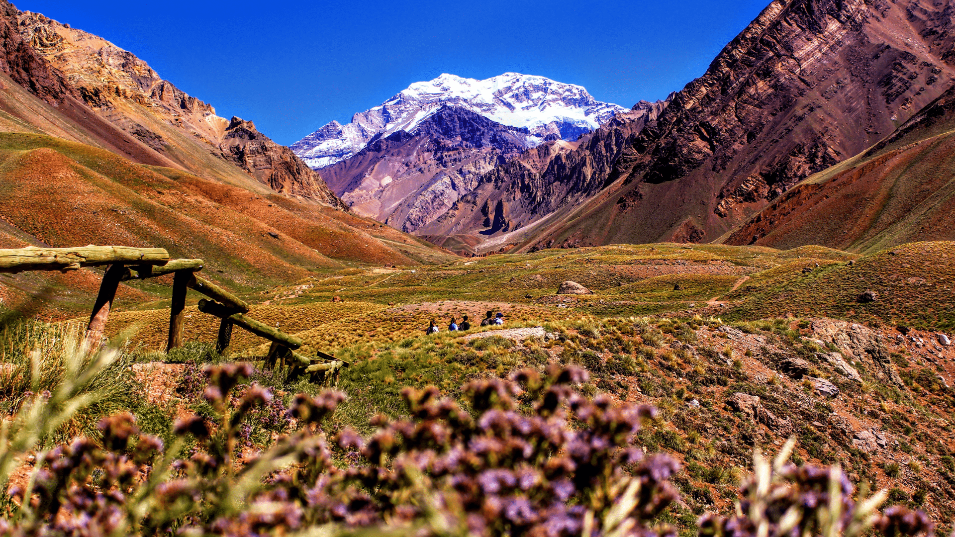 Berglandschaft am Aconcagua bei Mendoza