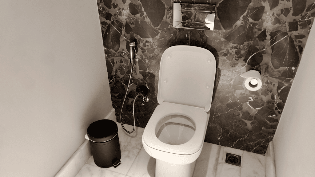 Toilette im Gaestebad 