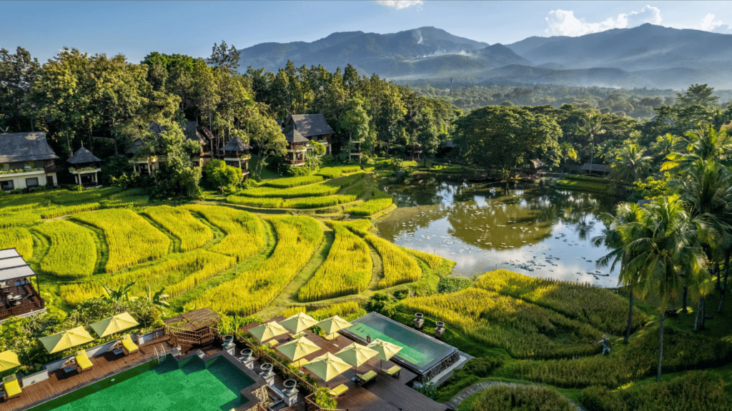 Four Seasons Chiang Mai Resort Ansicht Pool