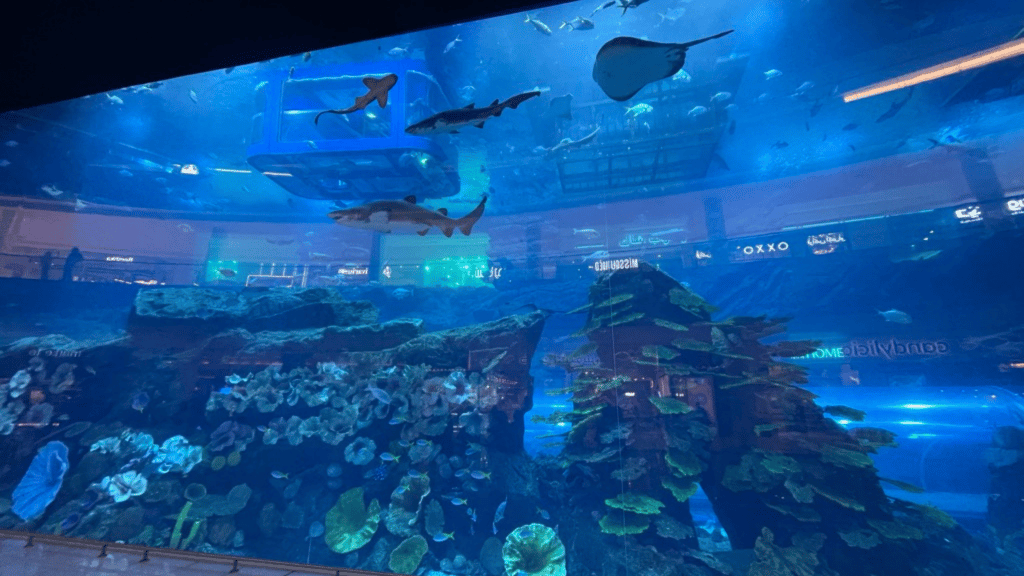 Burj Khalifa Dubai Mall Aquarium