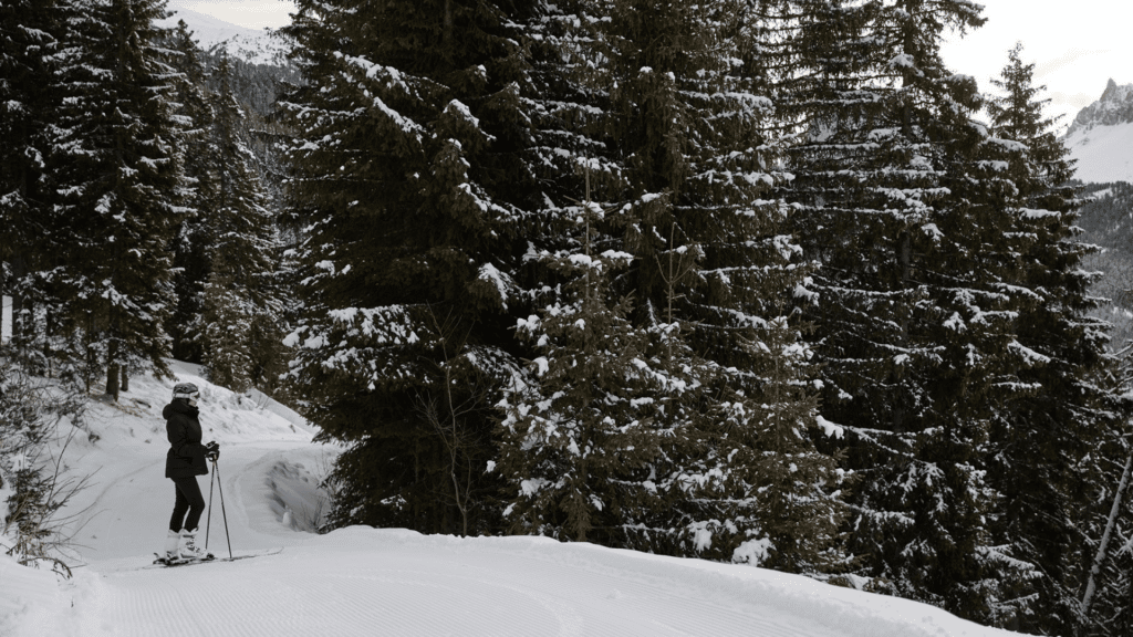 Forestis Ski