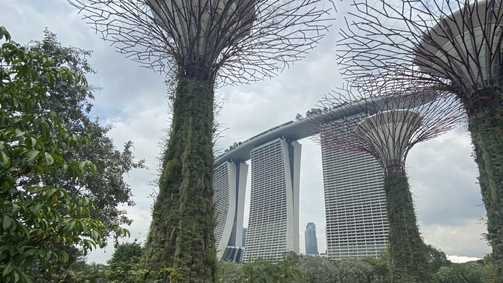Gardens by the Bay und Marina Bay Sands Singapur