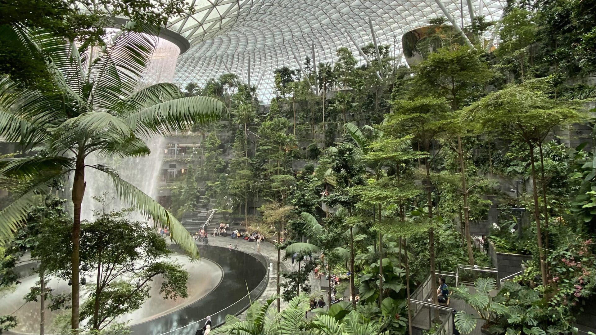 Singapore Airport plans to travel without a passport and boarding pass