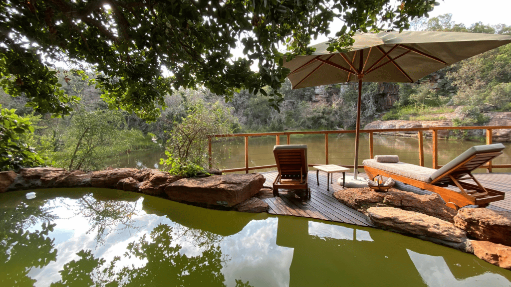 Shambala Game Reserve Pool Ausblick